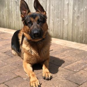 Meet your Posher, Nicki